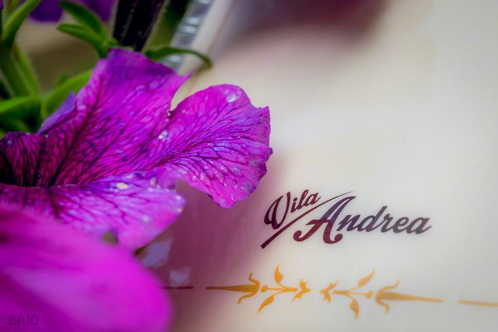 Motel Vila Andrea Szarajevó Kültér fotó